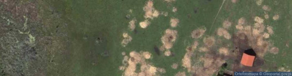 Zdjęcie satelitarne Pilec ul.