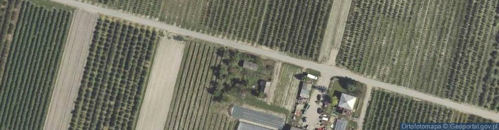 Zdjęcie satelitarne Piotrawin-Kolonia ul.