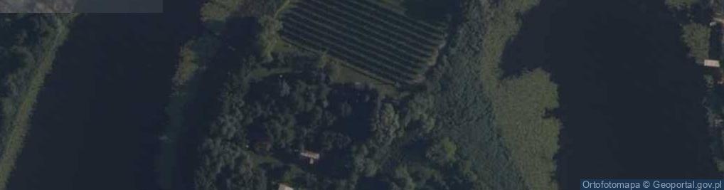 Zdjęcie satelitarne Piwonin ul.