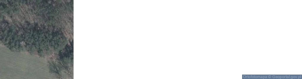 Zdjęcie satelitarne Płomieniec ul.