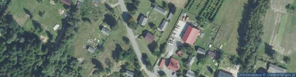 Zdjęcie satelitarne Płucki ul.