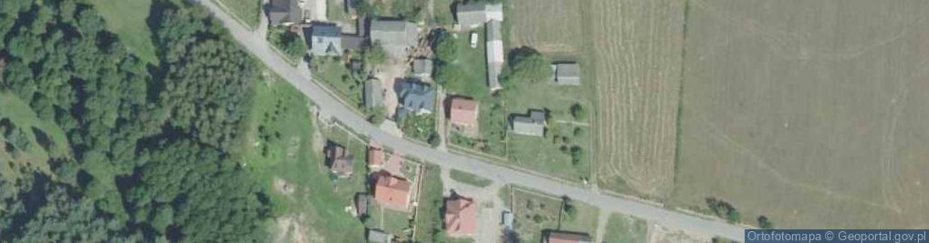Zdjęcie satelitarne Płucki ul.