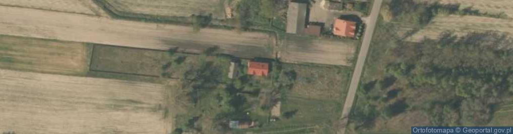Zdjęcie satelitarne Pludwiny ul.