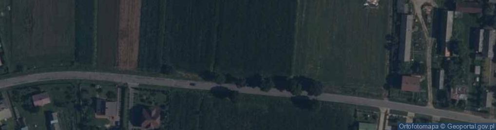 Zdjęcie satelitarne Pluty ul.
