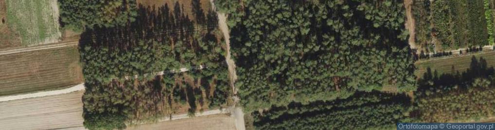 Zdjęcie satelitarne Powstańców ul.