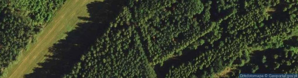 Zdjęcie satelitarne Potockiego ul.