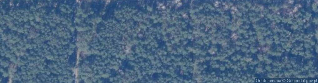 Zdjęcie satelitarne Podgrzybków ul.