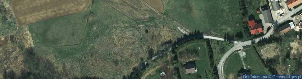 Zdjęcie satelitarne Pod Dworem ul.