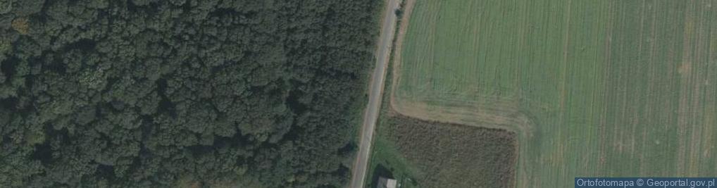 Zdjęcie satelitarne Podlesie ul.