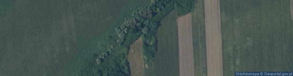 Zdjęcie satelitarne Podwale ul.