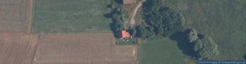 Zdjęcie satelitarne Potulice ul.