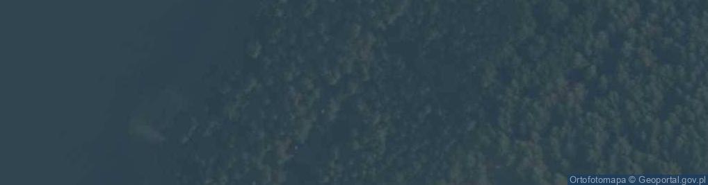 Zdjęcie satelitarne Potuły ul.