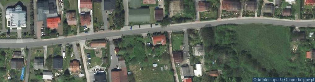 Zdjęcie satelitarne Pod Dębiną ul.