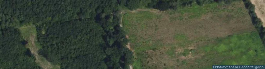 Zdjęcie satelitarne Podleśna ul.