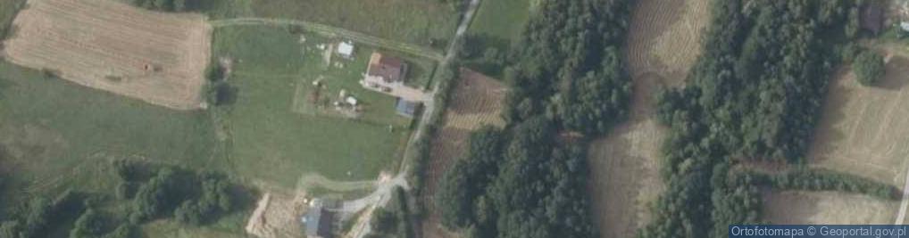 Zdjęcie satelitarne Podgórska ul.