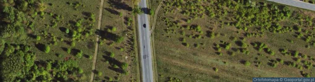 Zdjęcie satelitarne Prymasowska ul.