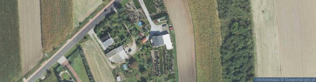 Zdjęcie satelitarne Prokopowska ul.