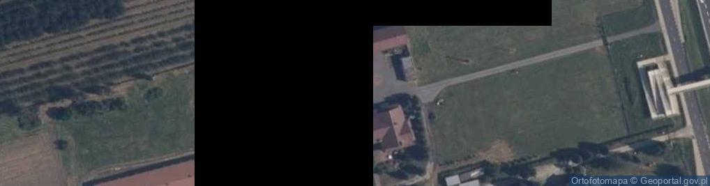 Zdjęcie satelitarne Promna-Kolonia ul.