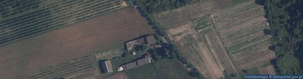 Zdjęcie satelitarne Promna-Kolonia ul.