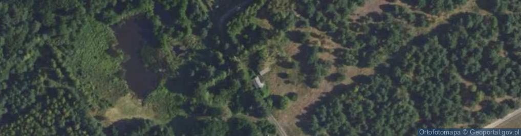 Zdjęcie satelitarne Prościeniec ul.