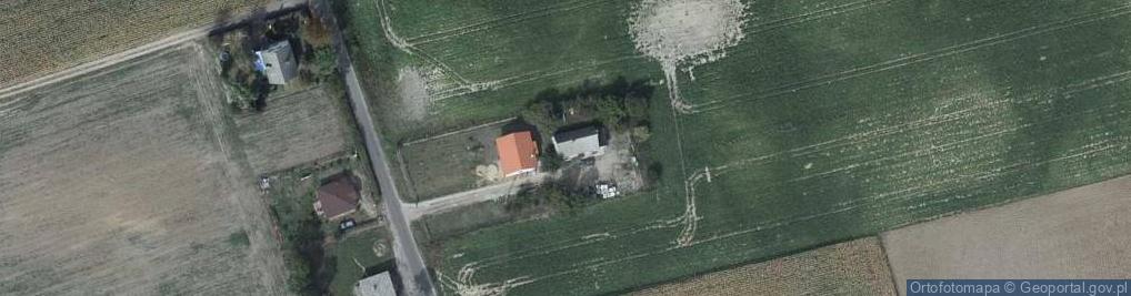 Zdjęcie satelitarne Pruska Łąka ul.