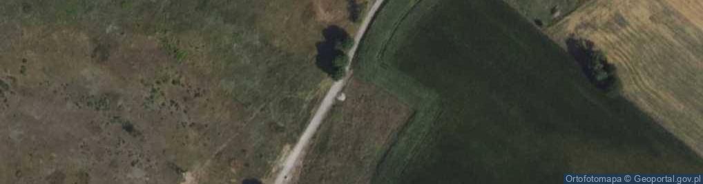 Zdjęcie satelitarne Pruszewiec ul.
