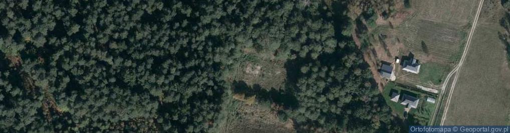 Zdjęcie satelitarne Przedbórz ul.