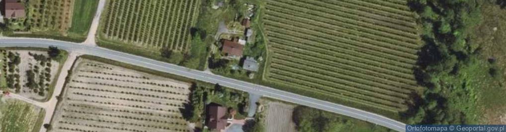 Zdjęcie satelitarne Przyborowice Dolne ul.