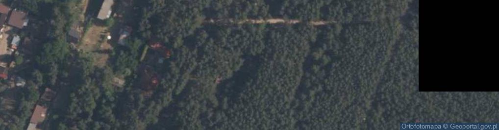 Zdjęcie satelitarne Przygłów Las ul.