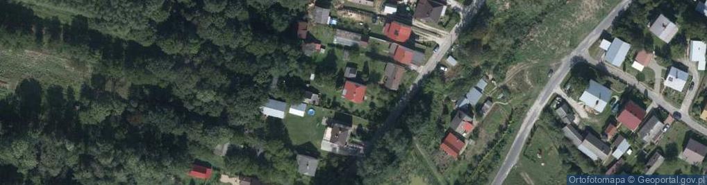 Zdjęcie satelitarne Przedmieście Bukowskie ul.