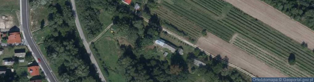 Zdjęcie satelitarne Przedmieście Płuskie Wschód ul.