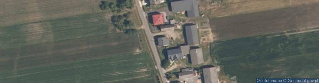 Zdjęcie satelitarne Psary Witowskie ul.