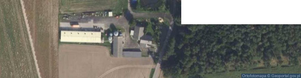 Zdjęcie satelitarne Psienie-Ostrów ul.
