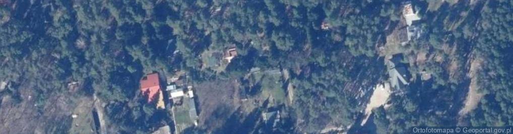 Zdjęcie satelitarne Ptasia ul.