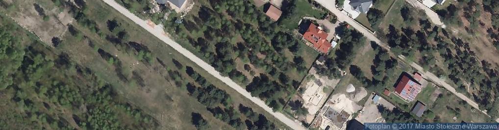Zdjęcie satelitarne Ptaków Leśnych ul.