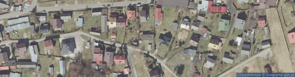 Zdjęcie satelitarne Puszcza Solska ul.