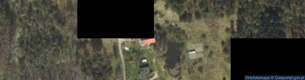 Zdjęcie satelitarne Pupki ul.