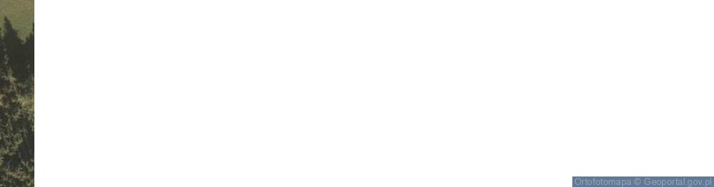 Zdjęcie satelitarne Pustelnik ul.