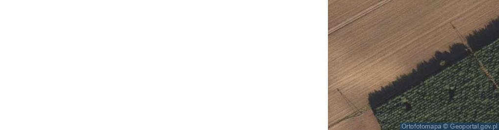 Zdjęcie satelitarne Puszcza Rządowa ul.