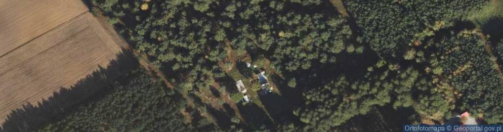 Zdjęcie satelitarne Puszcza Rządowa ul.