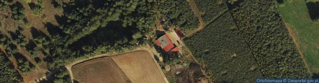 Zdjęcie satelitarne Puszcza Rządowa ul.