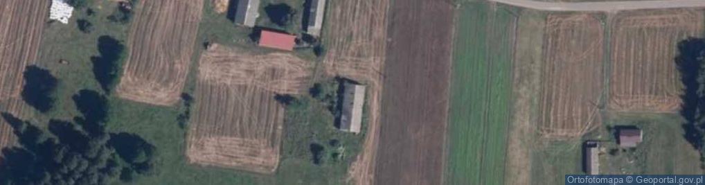 Zdjęcie satelitarne Puszcza ul.