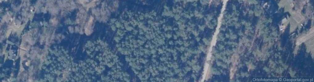 Zdjęcie satelitarne Puchacza ul.
