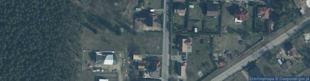 Zdjęcie satelitarne Puszczy Rzepińskiej ul.