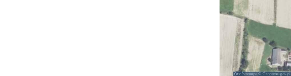 Zdjęcie satelitarne Raciechowice ul.