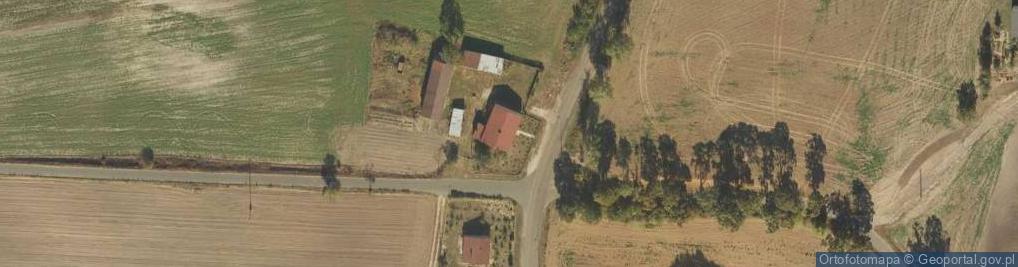 Zdjęcie satelitarne Racięcin ul.