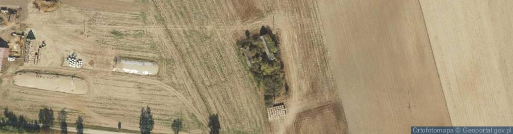 Zdjęcie satelitarne Racięcin ul.