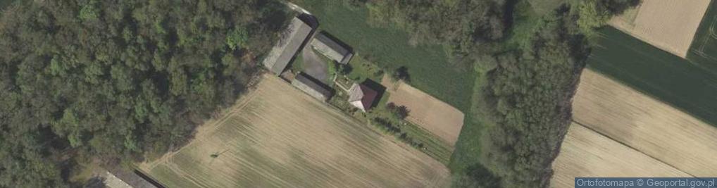 Zdjęcie satelitarne Radawczyk-Kolonia Pierwsza ul.