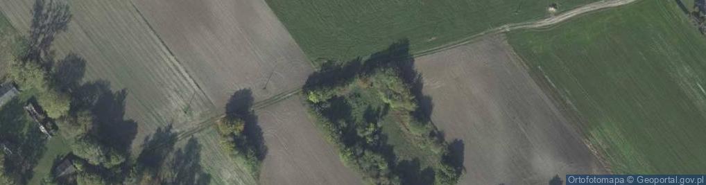 Zdjęcie satelitarne Radziejów ul.