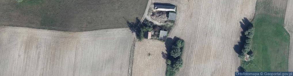 Zdjęcie satelitarne Radzyń-Wieś ul.